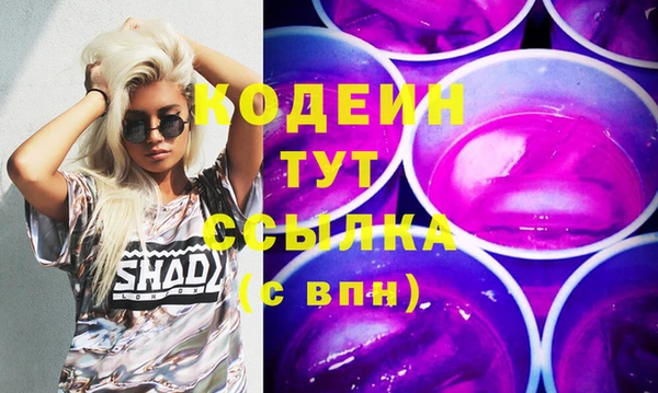 тгк Абаза