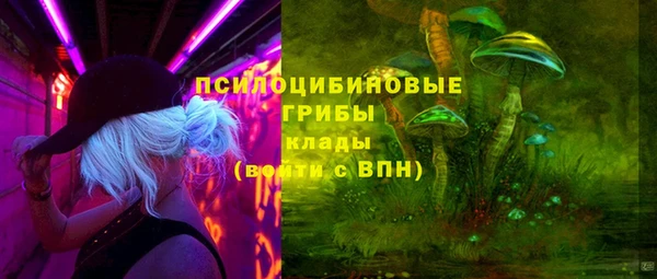 тгк Абаза