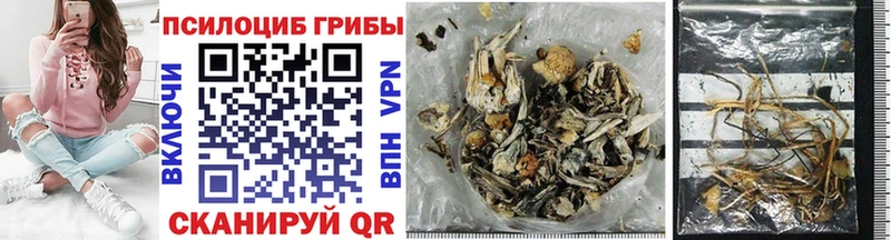 blacksprut вход Томари Галлюциногенные грибы MAGIC MUSHROOMS